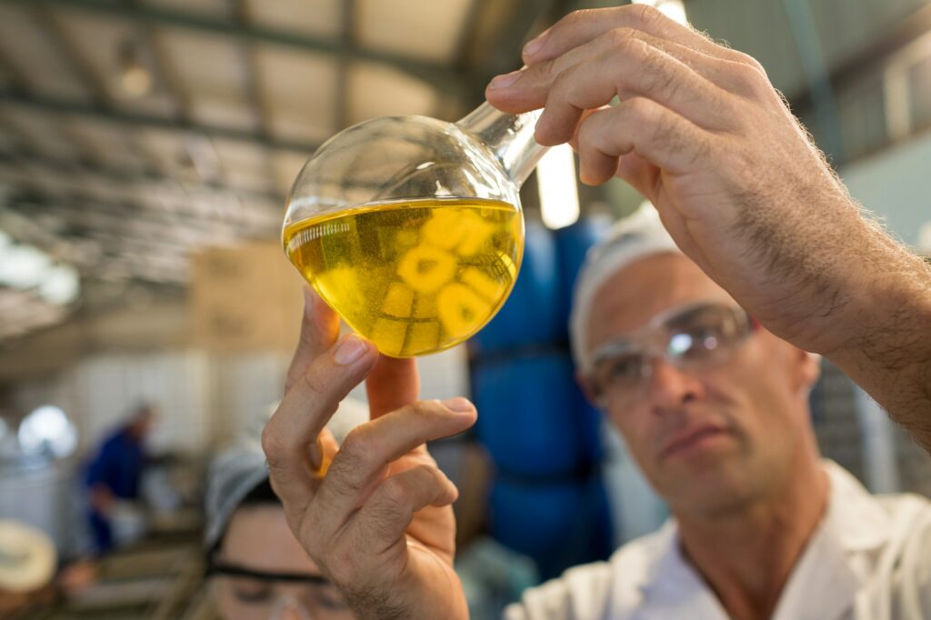 Technician examining olive oil